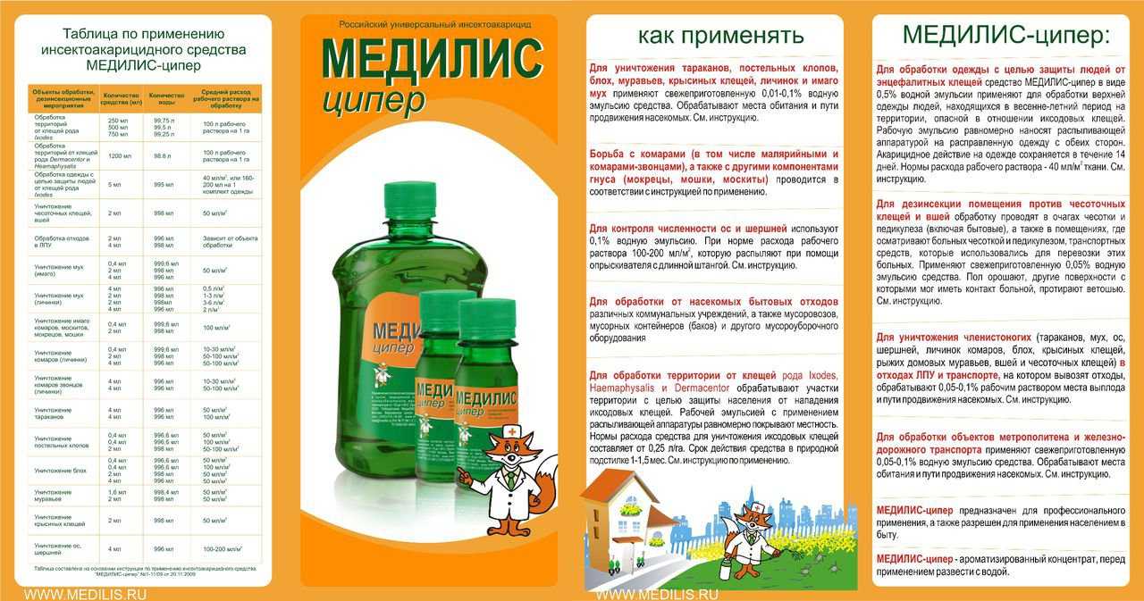 Быстро, эффективно и навсегда: как избавиться от тараканов в квартире