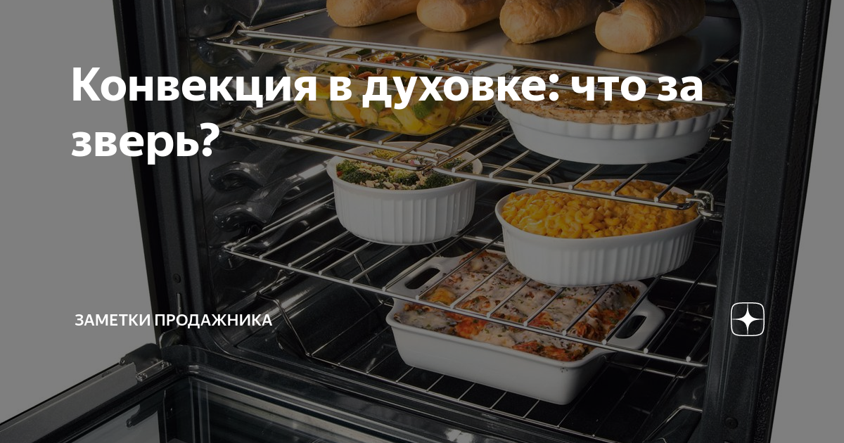 Конвекция в духовке - что это такое и зачем нужна