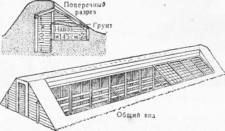 Лучшие варианты по сборке теплицы своими руками