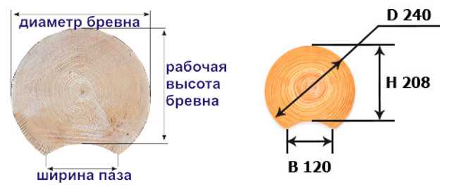 Оцилиндрованные бревна: характеристики и параметры, плюсы и минусы материала :: syl.ru