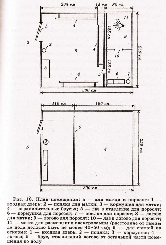 Каркасный свинарник на 2 головы своими руками - постройка, вентиляция, полы, фото (план + проект)