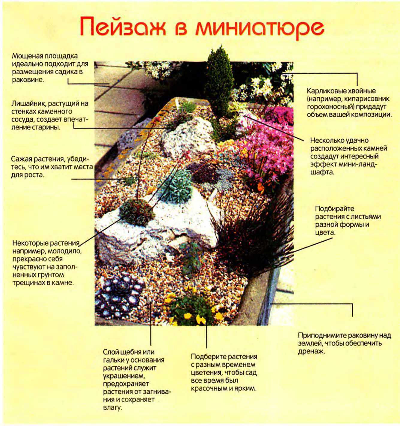 Альпийская горка своими руками: подробная инструкция, советы