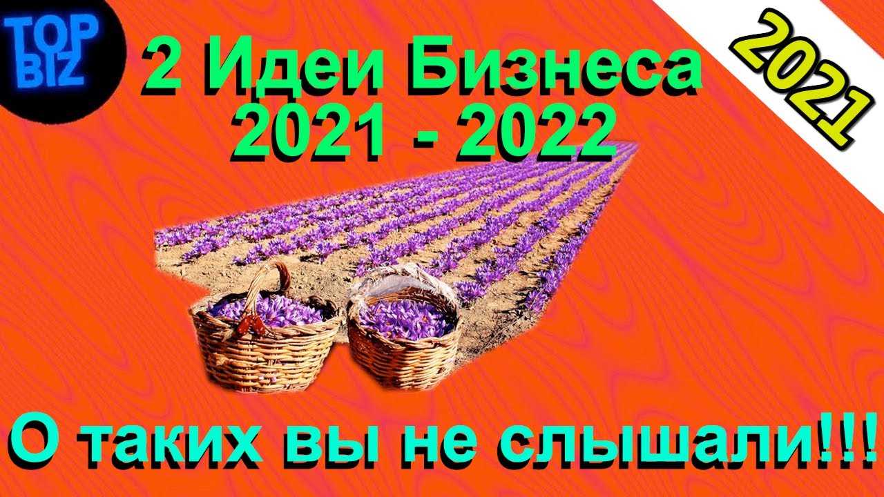 Кухня-студия — современный вариант оптимизации пространства
