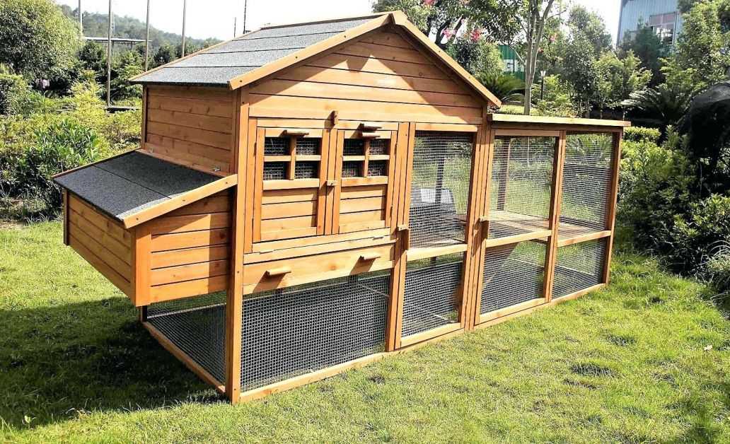 Курятник на 10-20 кур своими руками: чертежи, фото и инструкции