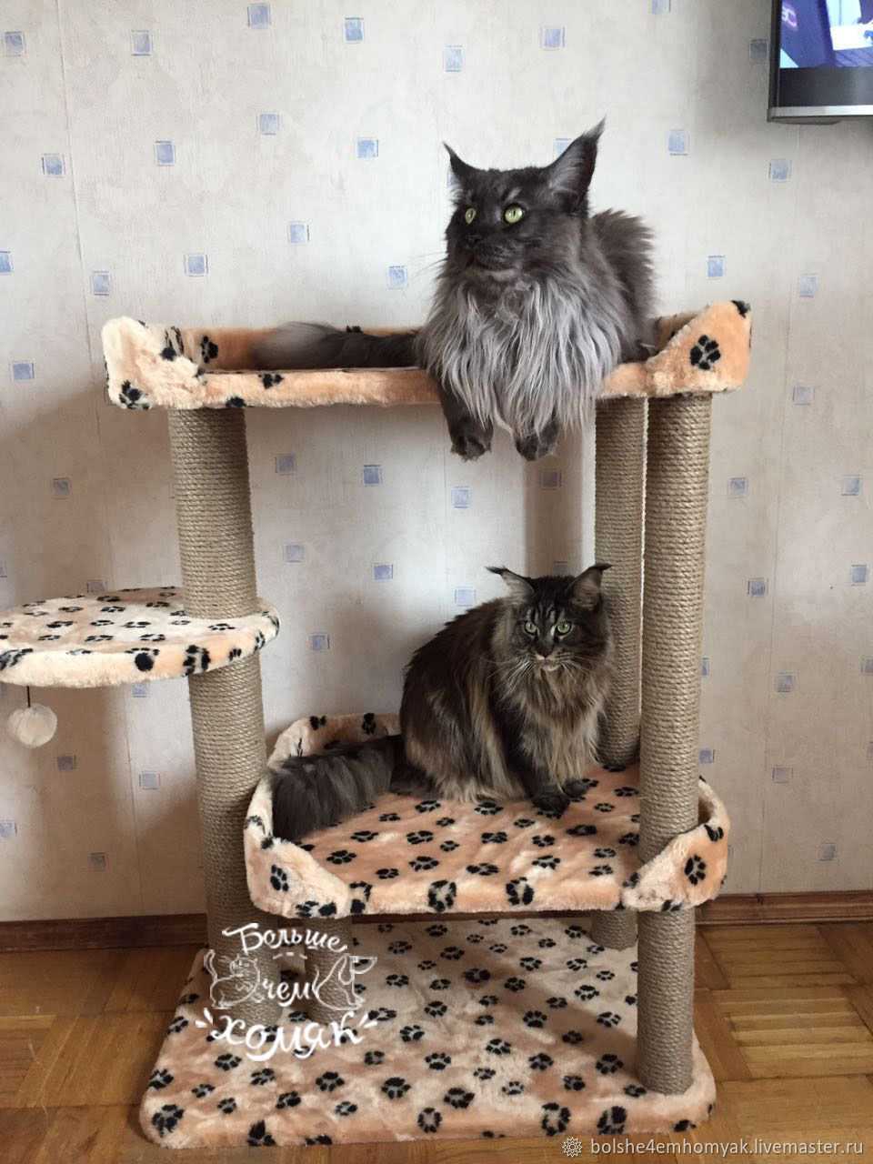 Когтеточка с домиком для кошек